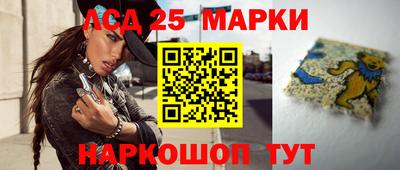 крисы Моздок