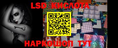 крисы Моздок