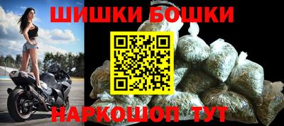 крисы Моздок
