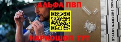 крисы Моздок