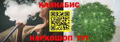 крисы Моздок