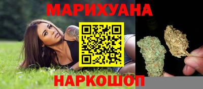 крисы Моздок