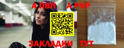крисы Моздок